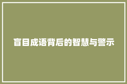 盲目成语背后的智慧与警示 工作类
