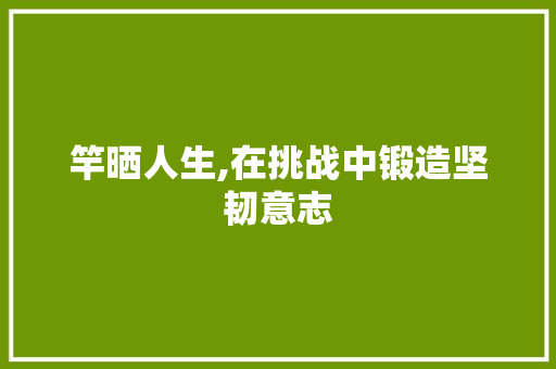 竿晒人生,在挑战中锻造坚韧意志 工作报告
