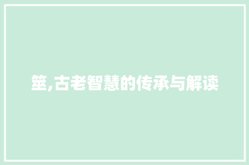筮,古老智慧的传承与解读