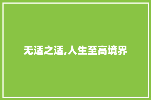 无适之适,人生至高境界