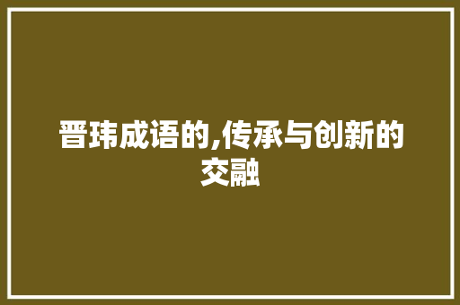 晋玮成语的,传承与创新的交融