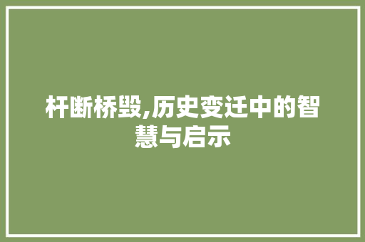 杆断桥毁,历史变迁中的智慧与启示 生活随笔