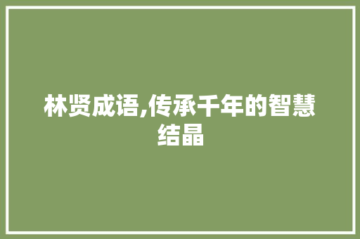 林贤成语,传承千年的智慧结晶