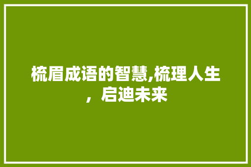 梳眉成语的智慧,梳理人生，启迪未来