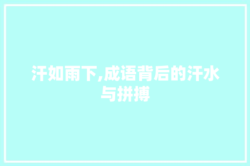 汗如雨下,成语背后的汗水与拼搏