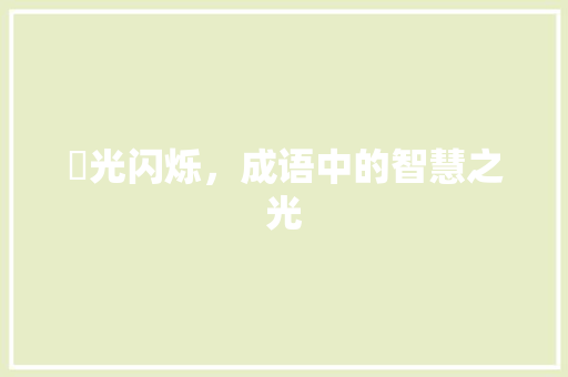 琁光闪烁，成语中的智慧之光
