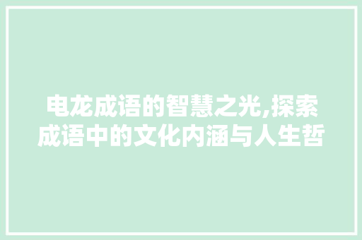 电龙成语的智慧之光,探索成语中的文化内涵与人生哲理