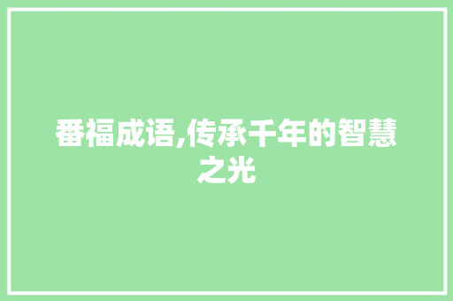 番福成语,传承千年的智慧之光