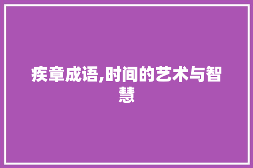 疾章成语,时间的艺术与智慧