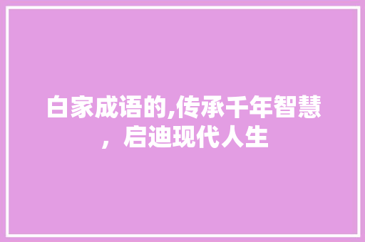 白家成语的,传承千年智慧，启迪现代人生 特写稿