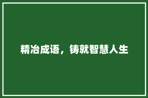 精冶成语，铸就智慧人生