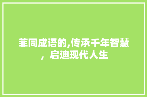 菲同成语的,传承千年智慧，启迪现代人生