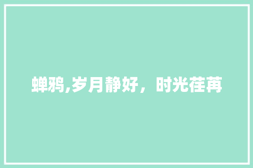 蝉鸦,岁月静好，时光荏苒