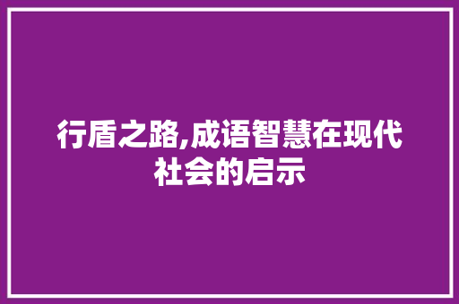 行盾之路,成语智慧在现代社会的启示