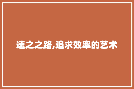 速之之路,追求效率的艺术