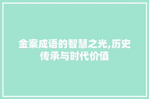 金案成语的智慧之光,历史传承与时代价值 工作总结
