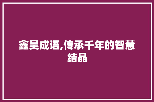 鑫昊成语,传承千年的智慧结晶 工作报告