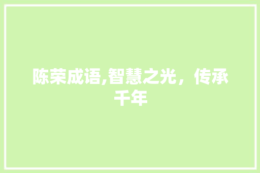 陈荣成语,智慧之光，传承千年