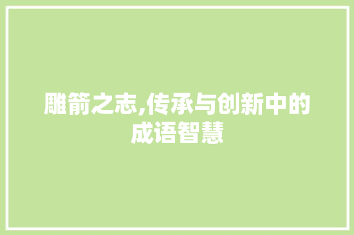 雕箭之志,传承与创新中的成语智慧
