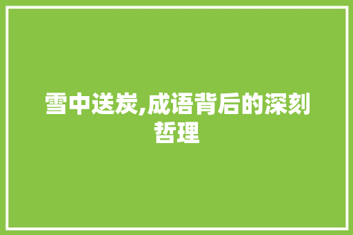 雪中送炭,成语背后的深刻哲理 特写稿