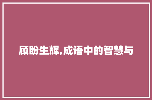 顾盼生辉,成语中的智慧与