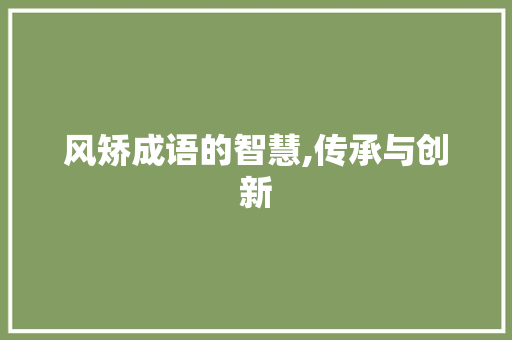 风矫成语的智慧,传承与创新