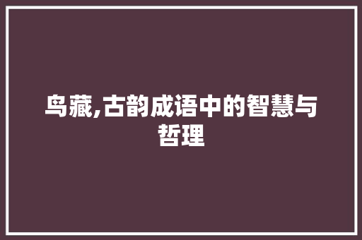 鸟藏,古韵成语中的智慧与哲理