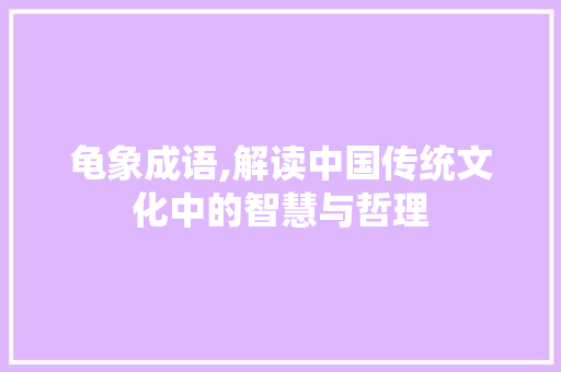 龟象成语,解读中国传统文化中的智慧与哲理