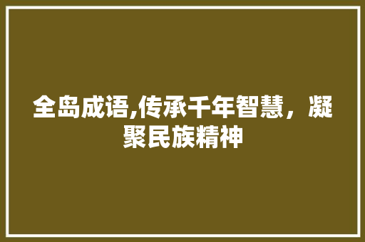 全岛成语,传承千年智慧，凝聚民族精神