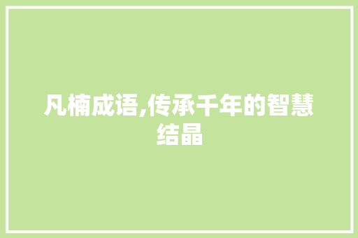 凡楠成语,传承千年的智慧结晶