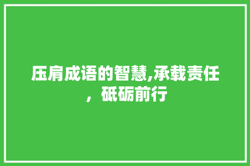 压肩成语的智慧,承载责任，砥砺前行