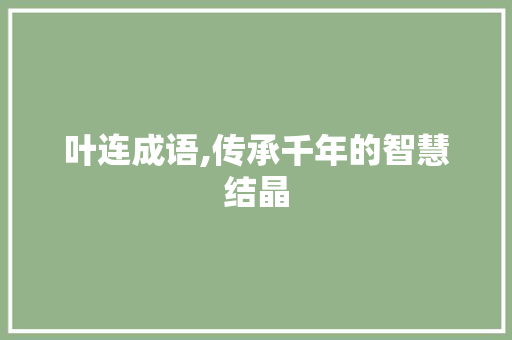 叶连成语,传承千年的智慧结晶