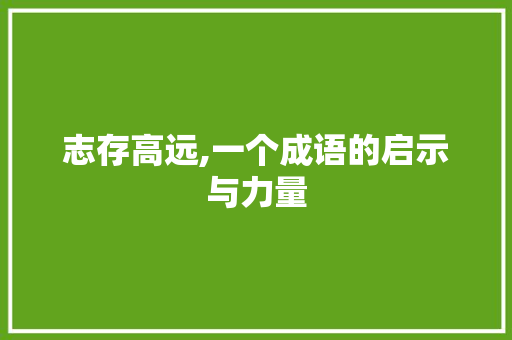 志存高远,一个成语的启示与力量 商业文稿