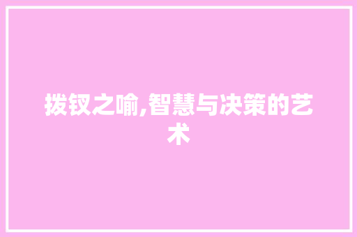 拨钗之喻,智慧与决策的艺术
