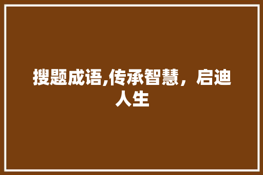 搜题成语,传承智慧，启迪人生