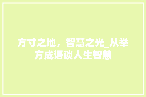方寸之地，智慧之光_从举方成语谈人生智慧 生活感悟
