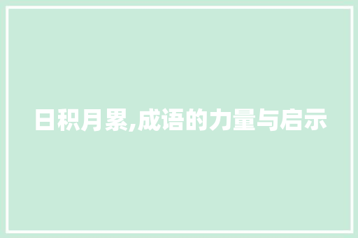 日积月累,成语的力量与启示