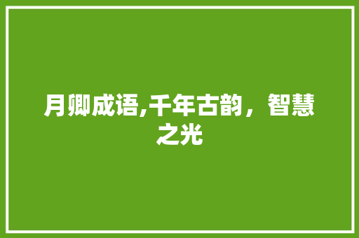 月卿成语,千年古韵，智慧之光