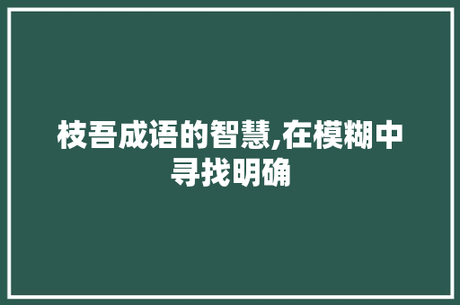 枝吾成语的智慧,在模糊中寻找明确 工作报告