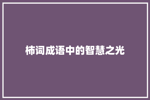 柿词成语中的智慧之光