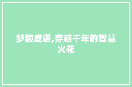 梦颖成语,穿越千年的智慧火花 特写稿