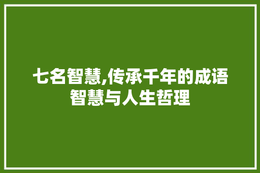 七名智慧,传承千年的成语智慧与人生哲理