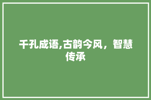 千孔成语,古韵今风，智慧传承