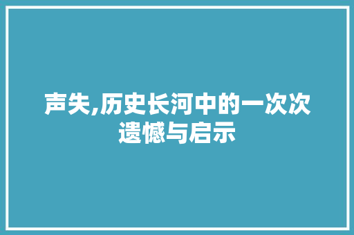 声失,历史长河中的一次次遗憾与启示