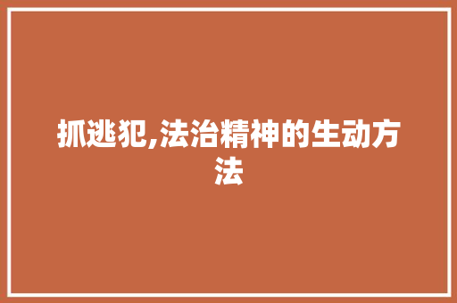 抓逃犯,法治精神的生动方法