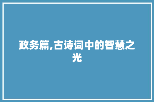 政务篇,古诗词中的智慧之光