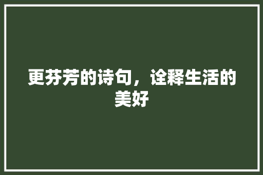 更芬芳的诗句，诠释生活的美好