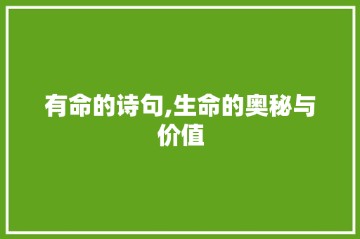 有命的诗句,生命的奥秘与价值