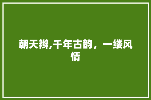 朝天辫,千年古韵，一缕风情