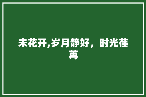 未花开,岁月静好，时光荏苒